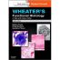 Wheater's Histology 6TH EDITION
