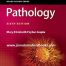 BRS Pathology 6th Edition