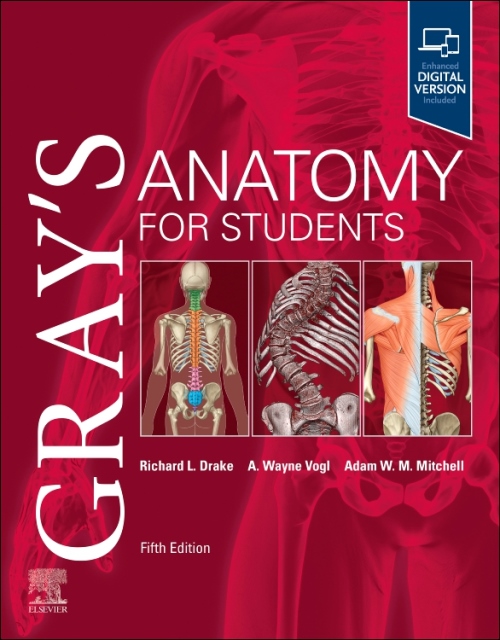 Grays Anatomy for Students Fifth Edition