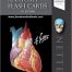 Anatomy Flash Card 5th Edition