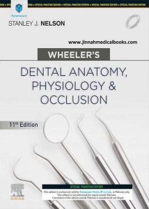 WHEELERS DENTAL ANATOMY, PHYSIOLOGY AND OCCLUSION