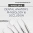 WHEELERS DENTAL ANATOMY, PHYSIOLOGY AND OCCLUSION