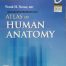 Netter Atlas of Human Anatomy - 7th Edition Original