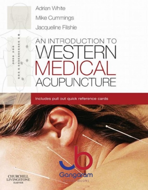 An Introduction to Western Medical Acupuncture 1st Edition