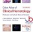 Color Atlas of Clinical Hematology Molecular and Cellular Basis of Disease 5th Edition
