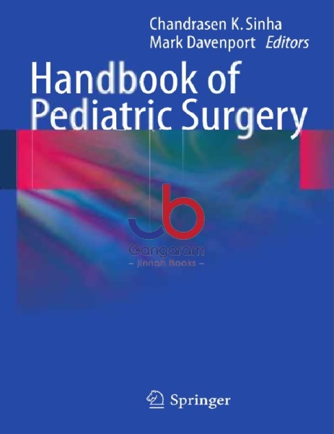 Handbook of Pediatric Surgery 2010th Edition
