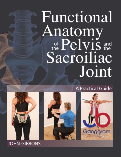 Functional Anatomy of the Pelvis and the Sacroiliac Joint A Practical Guide