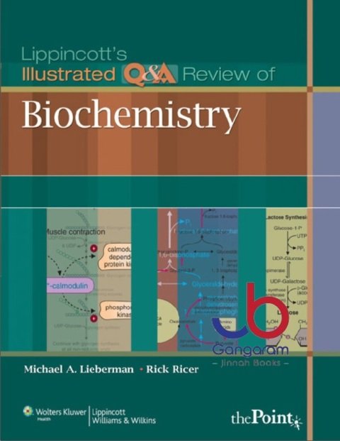 Lippincott's Illustrated Q&A Review of Biochemistry 1st Edition