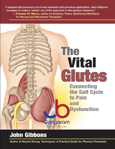 The Vital Glutes Connecting the Gait Cycle to Pain and Dysfunction