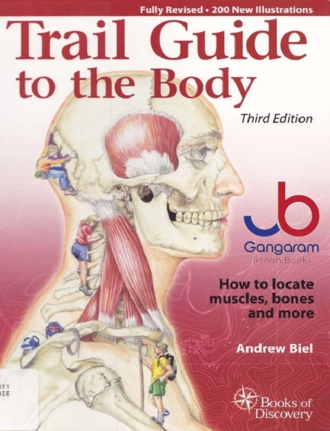 Trail Guide to the Body How to Locate Muscles, Bones, and More 3rd Edition