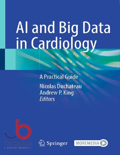 AI and Big Data in Cardiology A Practical Guide 1st ed. 2023 Edition