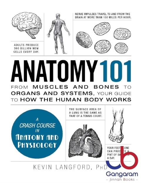 Anatomy 101 From Muscles and Bones to Organs and Systems, Your Guide to How the Human Body Works (Adams 101 Series)