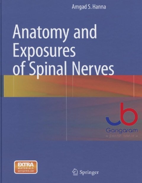 Anatomy and Exposures of Spinal Nerves