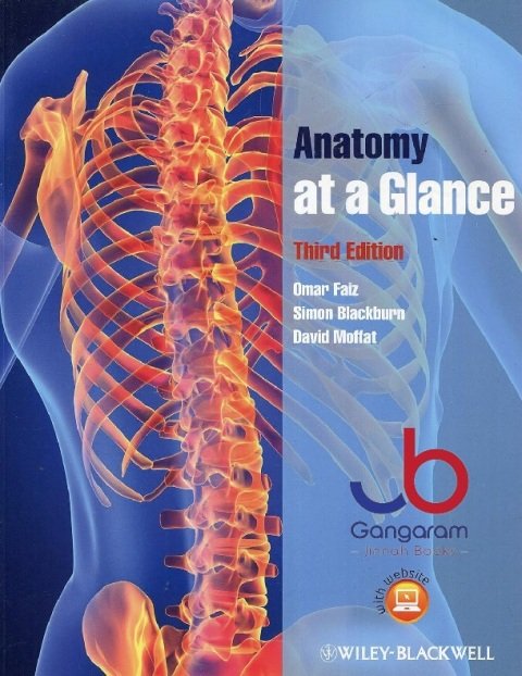 Anatomy at a Glance