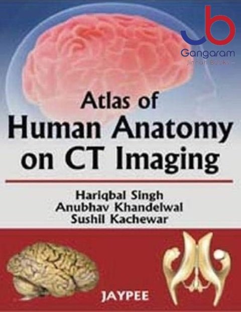 Atlas of Human Anatomy on CT Imaging