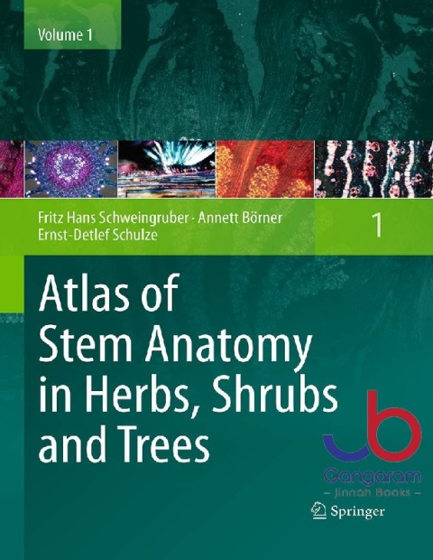 Atlas of Stem Anatomy in Herbs, Shrubs and Trees Volume 1