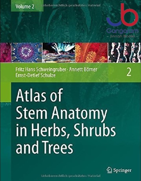 Atlas of Stem Anatomy in Herbs, Shrubs and Trees Volume 2 2013 edition by Schweingruber, Fritz Hans, Börner, Annett, Schulze, Ernst-De (2012) Hardcover