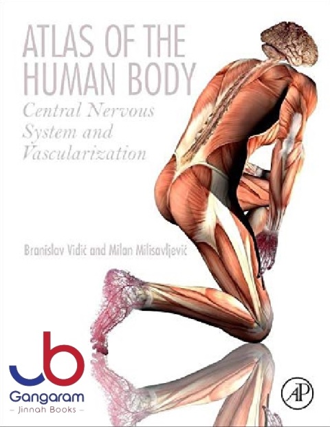 Atlas of the Human Body Central Nervous System and Vascularization