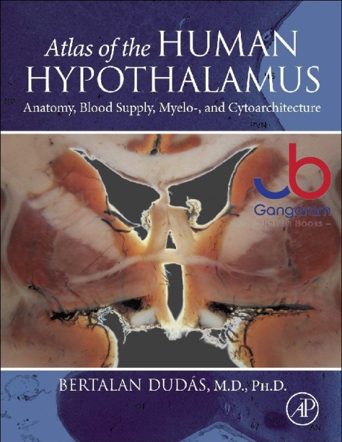 Atlas of the Human Hypothalamus Anatomy, Blood Supply, Myelo-, and Cytoarchitecture.