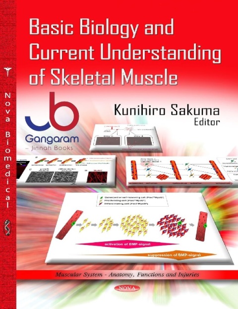 Basic Biology and Current Understanding of Skeletal Muscles (Muscular System-- Anatomy, Functions and Injuries)