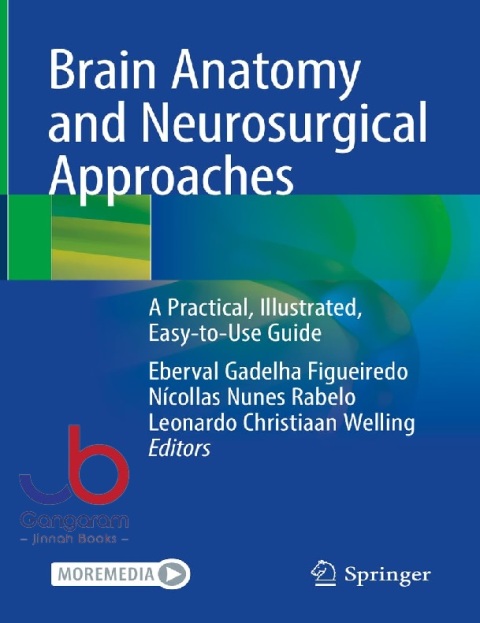 Brain Anatomy and Neurosurgical Approaches