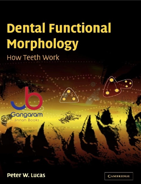 Dental Functional Morphology How Teeth Work