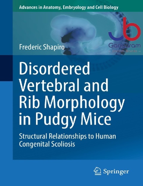 Disordered Vertebral and Rib Morphology in Pudgy Mice Structural Relationships to Human Congenital Scoliosis