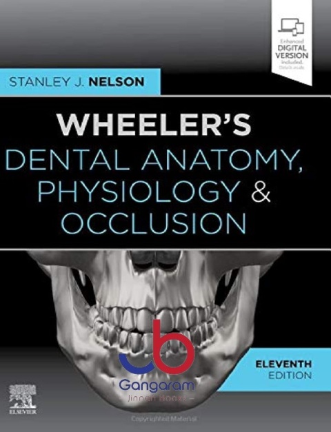 Wheeler's Dental Anatomy, Physiology and Occlusion Expert Consult