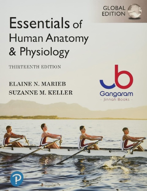 Essentials of Human Anatomy & Physiology [Global Edition]