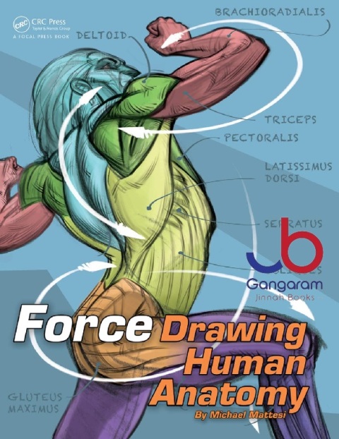 FORCE Drawing Human Anatomy (Force Drawing Series)