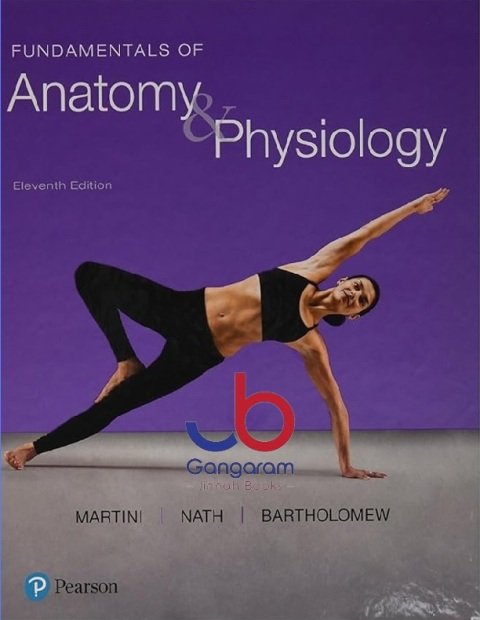 Fundamentals of Anatomy & Physiology