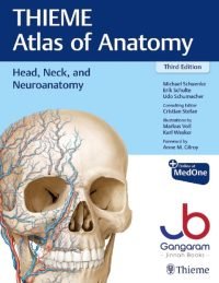 THIEME Atlas of Anatomy Head Neck and Neuroanatomy 3rd Ed