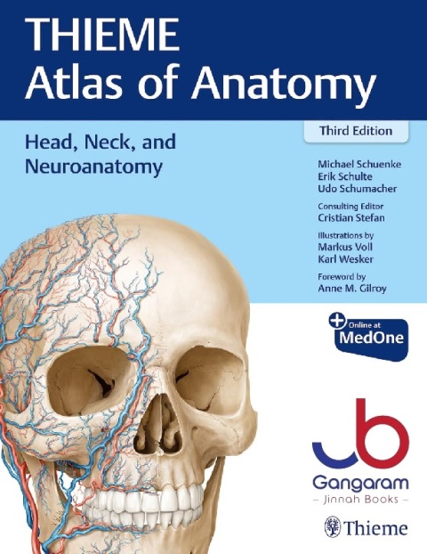 Head, Neck, and Neuroanatomy (THIEME Atlas of Anatomy) (THIEME Atlas of Anatomy, 3)
