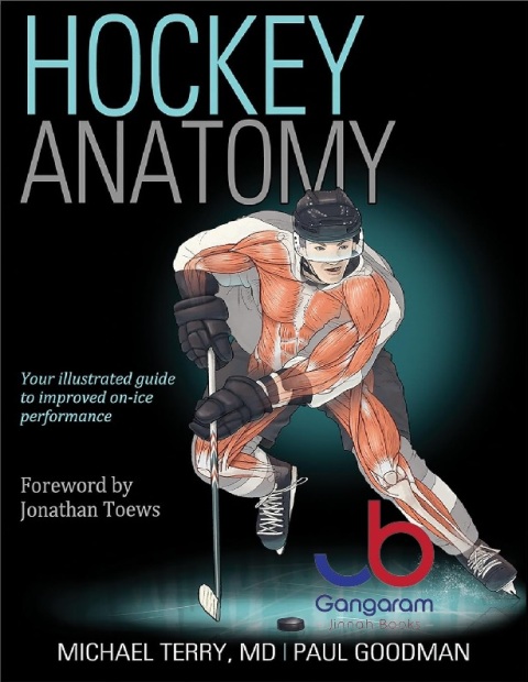 Hockey Anatomy