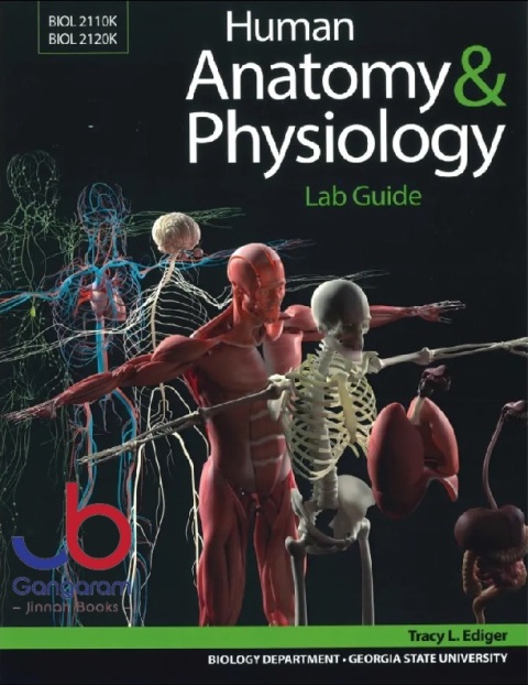 Human Anatomy & Physiology Lab Guide