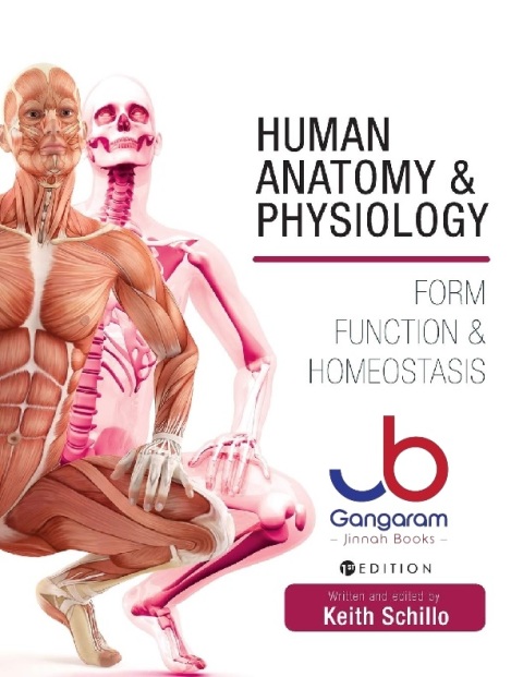 Human Anatomy and Physiology Form, Function, and Homeostasis