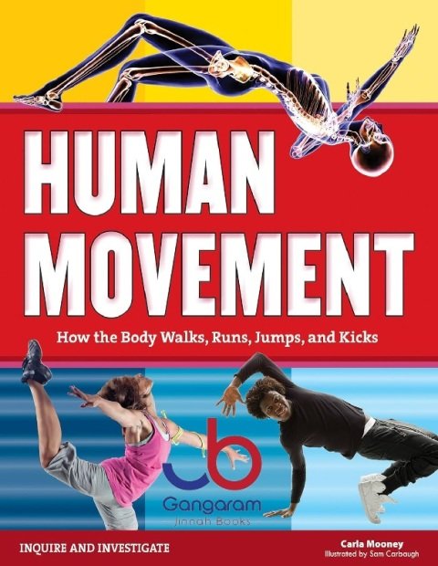 Human Movement How the Body Walks, Runs, Jumps, and Kicks