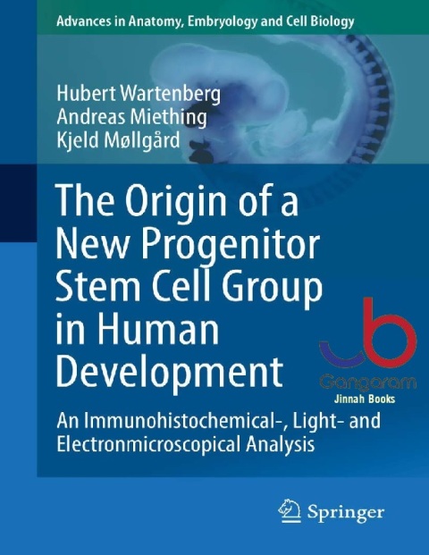 The Origin of a New Progenitor Stem Cell Group in Human Development An Immunohistochemical-, Light- and Electronmicroscopical Analysis (Advances in Anatomy...