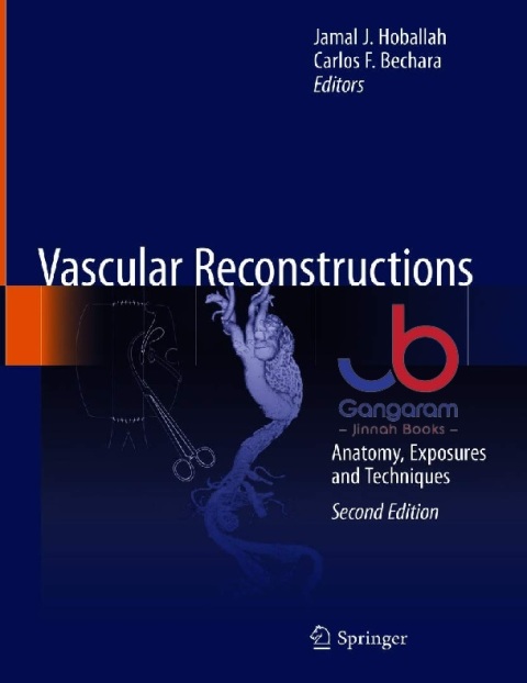 Vascular Reconstructions Anatomy, Exposures and Techniques