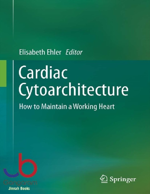 Cardiac Cytoarchitecture How to Maintain a Working Heart