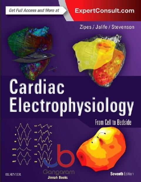 Cardiac Electrophysiology From Cell to Bedside