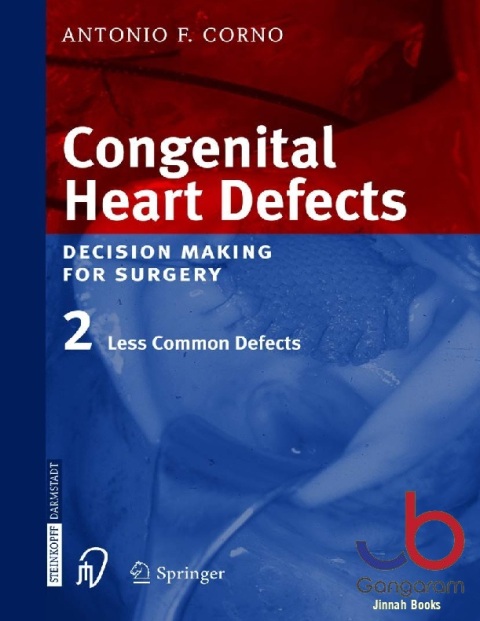 Congenital Heart Defects Decision Making for Cardiac Surgery Volume 2 Less Common Defects