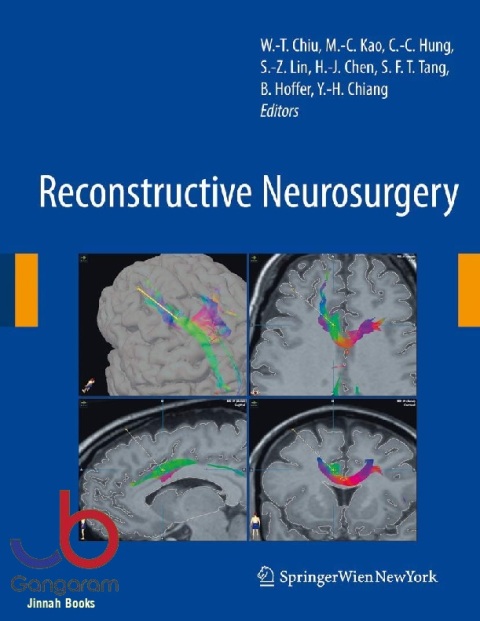 Reconstructive Neurosurgery (Acta Neurochirurgica Supplement, 101)