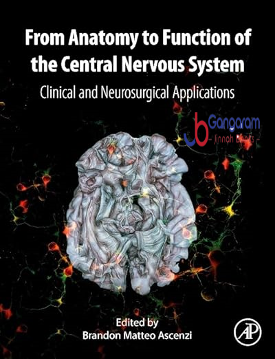 From-Anatomy-to-Function-of-the-Central-Nervous-System-Clinical-and-Neurosurgical-Applications