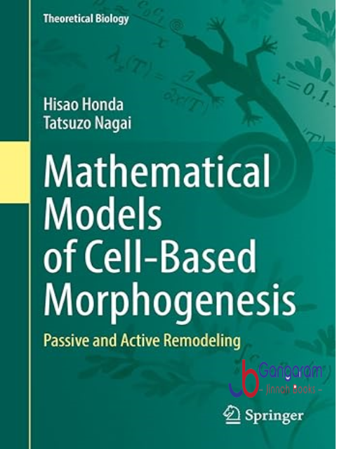 Mathematical-Models-of-Cell-Based-Morphogenesis-Passive-and-Active-Remodeling-Theoretical-Biology