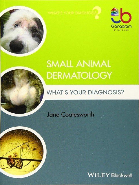 Small Animal Dermatology What's Your Diagnosis